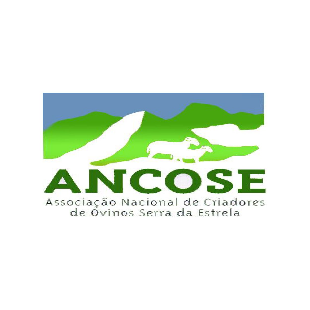 ANCOSE