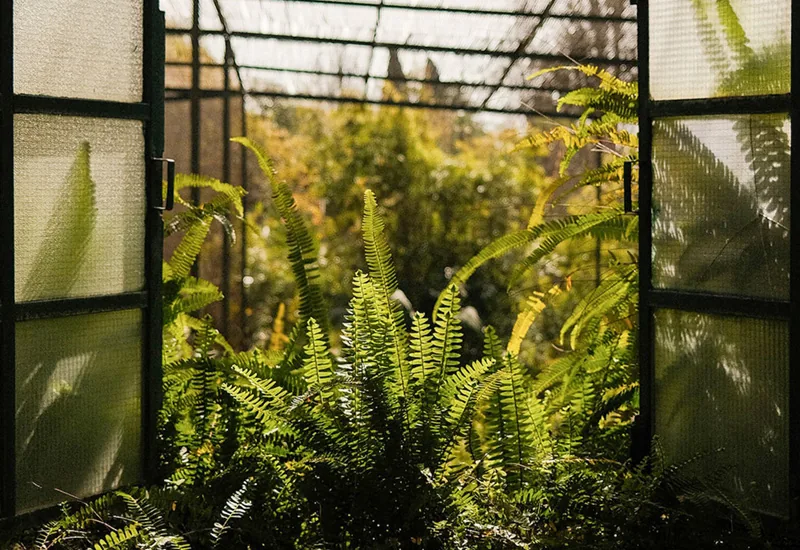 Rota dos Jardins Históricos