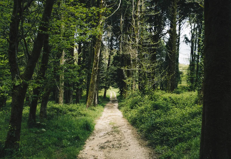 Um Destino por Natureza