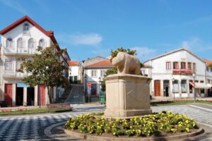 Rota Vinhos Brancos de Murça